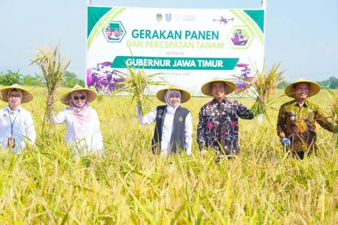 Kemenkeu: Perubahan Iklim Kini Pengaruhi Investasi, Indonesia Perkuat Pembiayaan Hijau