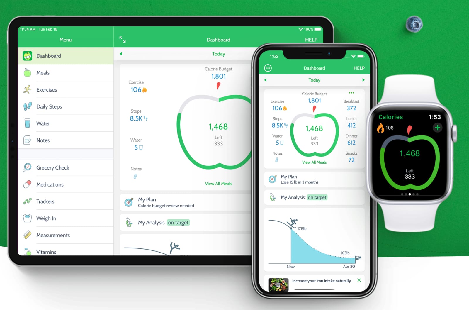 Tracking Kalori Pakai Aplikasi dan Smartwatch, Benarkah Efektif untuk Menurunkan Berat Badan?