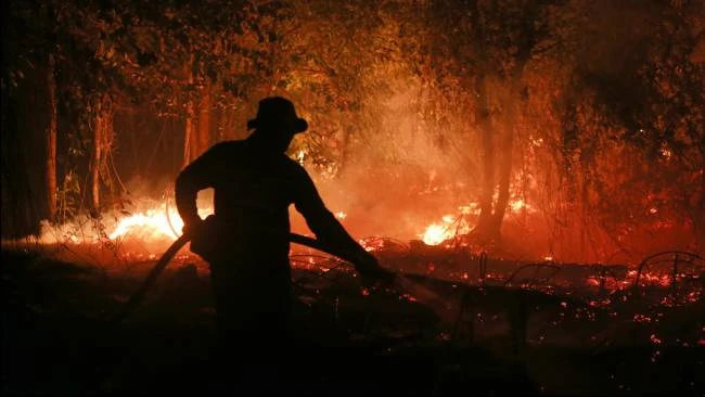BRIN Siapkan Deteksi Karhutla Berbasis AI, Pencegahan Diperkuat dari Desa